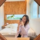 Shore261 이미지