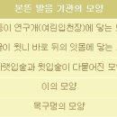 한글