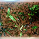 풀<b>통</b> <b>이사</b>