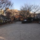 숲속의 섬 이미지