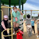 비산태권도체육관 이미지