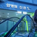 울산대학교 | 울산대학교병원 항암 2차 입원 후기와 보호자가 챙겨야 할 주차 팁까지