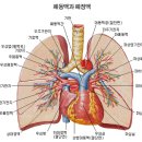 6가지 맛에 숨어 있는 놀라운 건강비밀 이미지