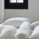 데이지홈