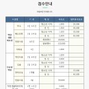 [클라이밍 보고서] 부산 북구 덕천 생활체육공원 인공암벽장 방문 후기 (리드클라이밍, 스피드...