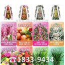 운주카서비스 이미지
