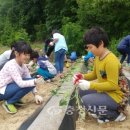 탄부초등학교 이미지