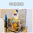 1733 | 거제 카페 추천 오리가 만들어주는 오리라떼 카페채홍