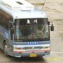 동천여행사 이미지