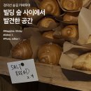 사이투어