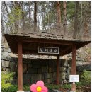 점봉산막국수