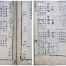 [광산김씨족보]와 과괄(科刮)과 현달(顯達)에 관하여 이미지
