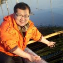 웰빙건강먹거리 이미지