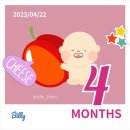 하이베베 이미지