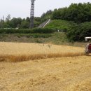 농업회사법인㈜세종우리밀 이미지