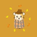 오아시타 | 광주 게스트하우스) 오아시타 호스텔 후기