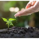 제로웨이스트 이미지