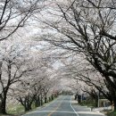 칠금동011 이미지