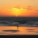 숲 펜션 이미지