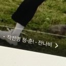 익산유스호스텔 | 🙇🏻‍♀️익산청소년문화의집 | 장학재단 멘토링 사업 | ESG 교육🌎| 대학생 재능봉사 캠프 후기