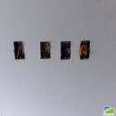 참빛인테리어