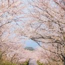 어린이대공원 제5호 이미지