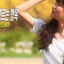 마마향 이미지