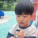 샘터놀이터 이미지