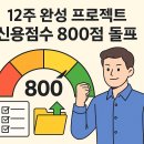 167 | &#34;신용점수 687→854점 실제 후기! 12주 만에 167점 올린 비밀 전략 공개&#34;
