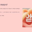 체육ㅅ(체육시옷) 이미지