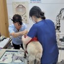 완도동물병원 이미지