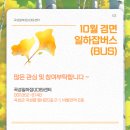 겸면사무소 이미지