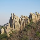 새울신협 이미지