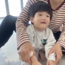 천전동4 Daum카페