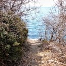 공룡 발자국화석지 이미지