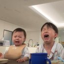 (주)해즈 | 직관② | [잠실야구장] 한화 vs 두산 직관 후기 (중앙네이비 318 / 3루 레드석 118) 돌멩이 홈런 ,,,🥹