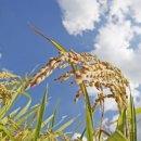 (주)태건 이미지