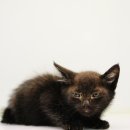 이마트24 울산포그니 이미지