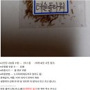이덕희농장 Daum카페