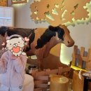 만석목장 | 10월 강원도 여행(10.7.~10.11.) 4일차 대관령 하늘목장, 만석닭강정, 다담석갈비 후기