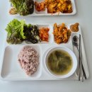 콩불연구소