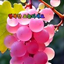 유월 - 의정부시 비우로 67 | 유월