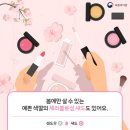 블로섬카페