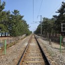 백사장해변 | 봄나들이 추천 등명해수욕장 등명해변 재방문 후기