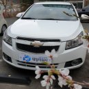 데일리 크리닝 이미지