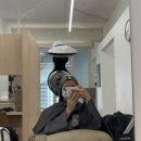 살롱드라피네 강남역사거리점 네이버블로그