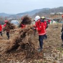 중부-현장-중부-344 이미지