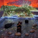 충무오거리길 | 1월 여수가볼만한곳 여수 실내 데이트 코스