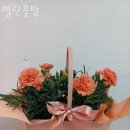 열린꽃방