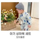 모이몰른 | 모이몰른 설빔 구매&amp;로앙자카드 상하세트 착용 후기